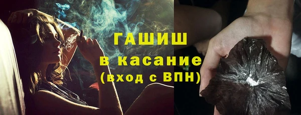 индика Киренск