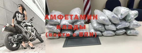 индика Киренск