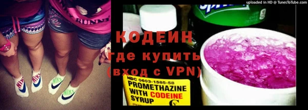 индика Киренск