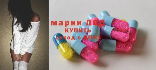 индика Киренск