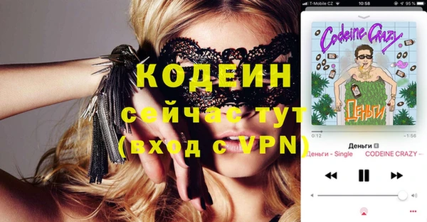 индика Киренск