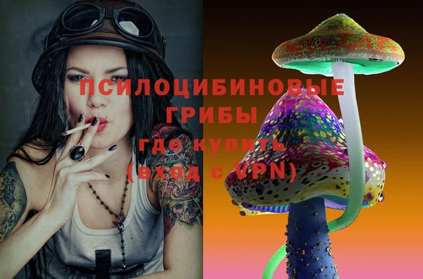 индика Киренск