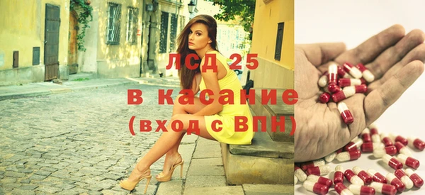индика Киренск